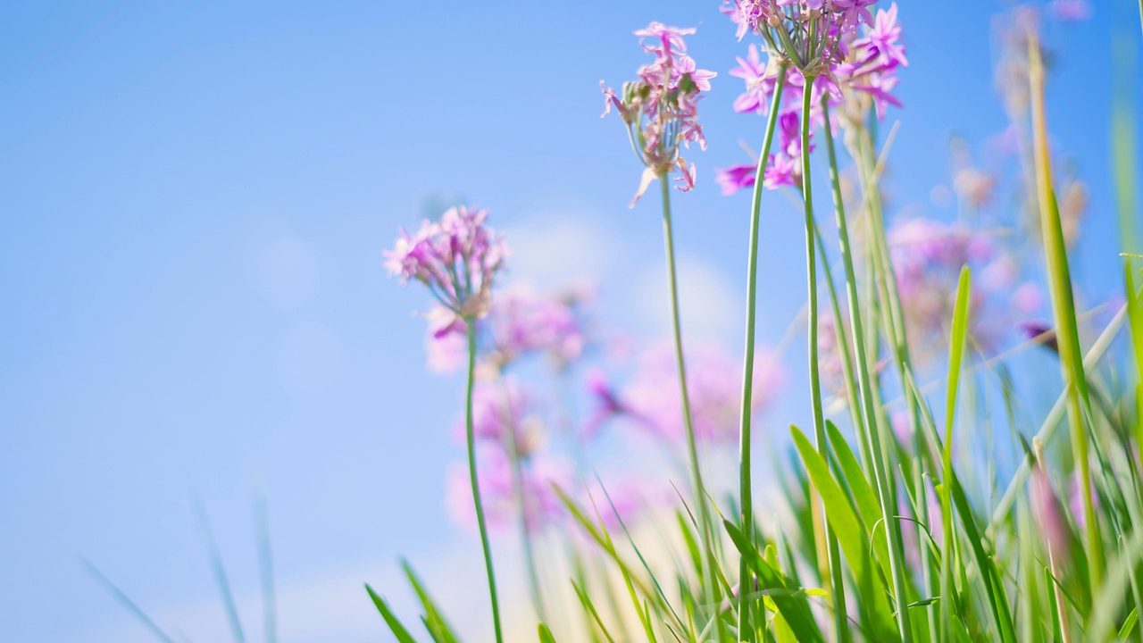 Funerária Cabo Frio 24h